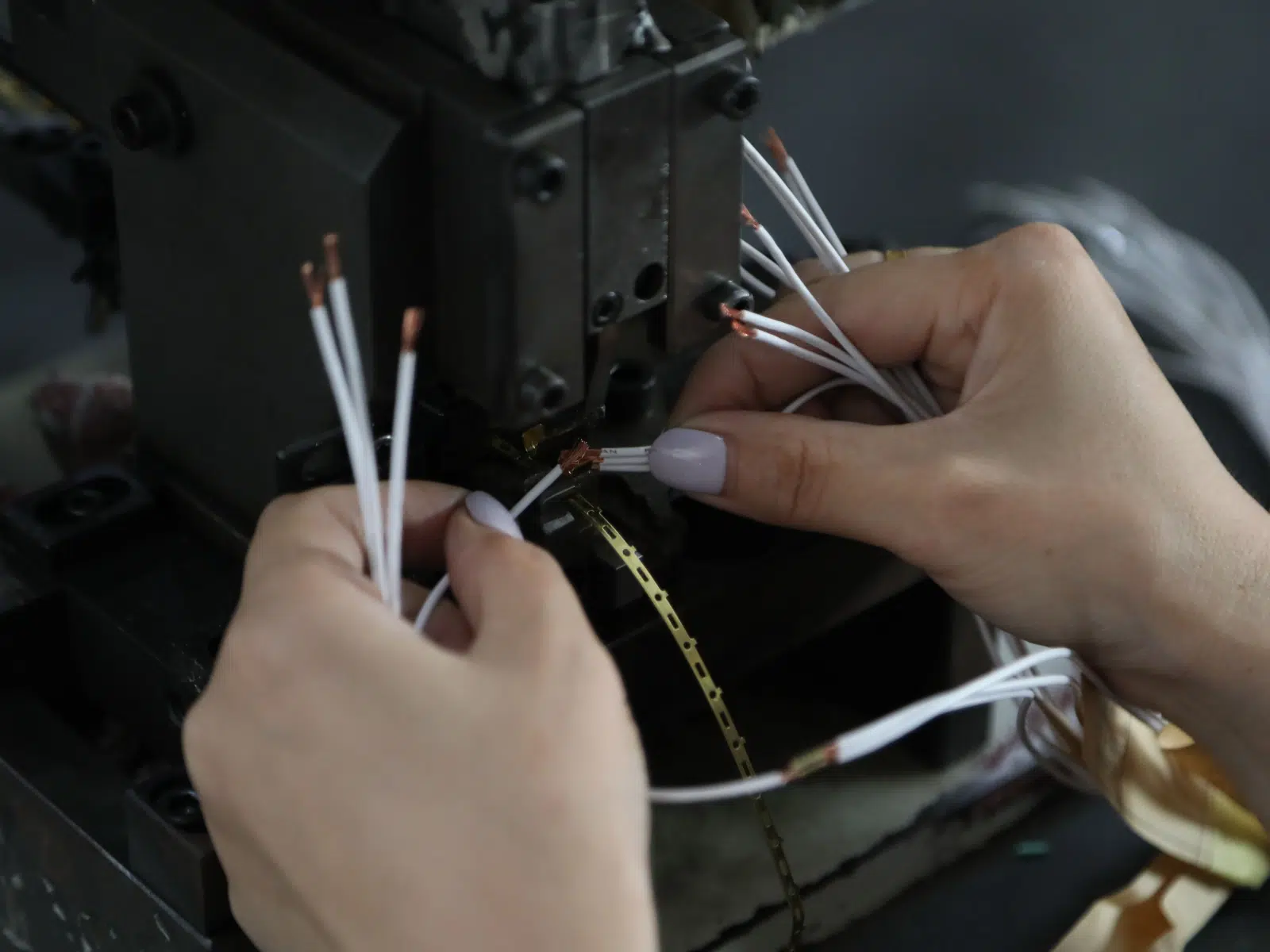 Hingeing Process Wiring Harness