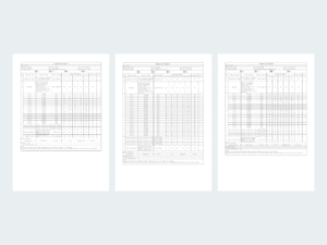 100% Functional Testing&mdash;Ensuring Zero-Defect Delivery_
